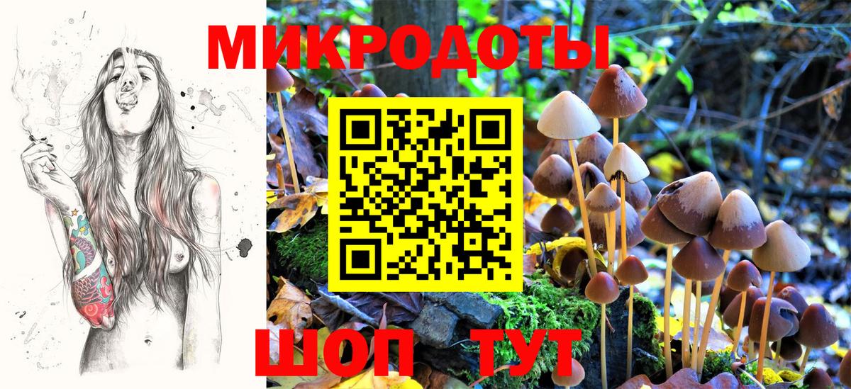 Казань  Псилоцибиновые грибы ЛСД  Вход с VPN 